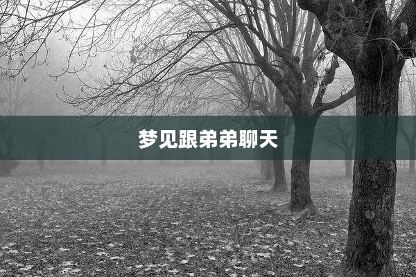 梦见跟弟弟聊天