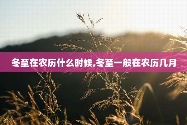 冬至在农历什么时候,冬至一般在农历几月