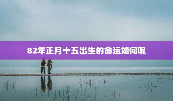 82年正月十五出生的命运如何呢