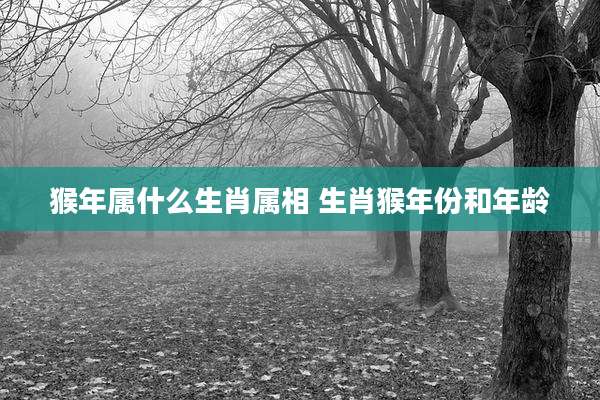 猴年属什么生肖属相 生肖猴年份和年龄
