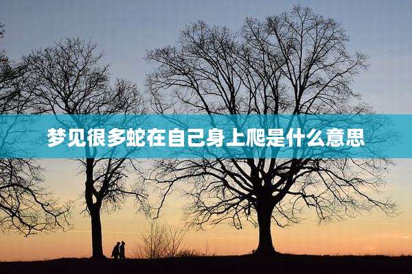 梦见很多蛇在自己身上爬是什么意思