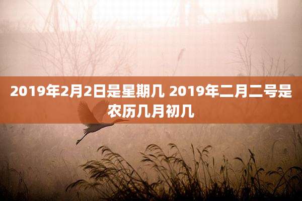 2019年2月2日是星期几 2019年二月二号是农历几月初几