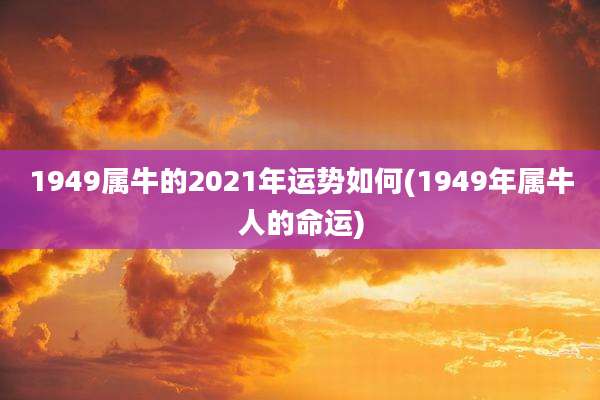 1949属牛的2021年运势如何(1949年属牛人的命运)