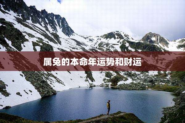 属兔的本命年运势和财运