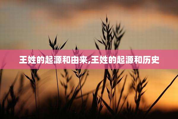 王姓的起源和由来,王姓的起源和历史