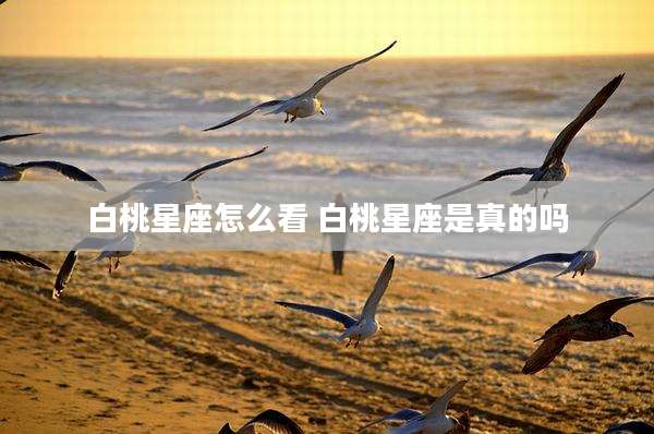 白桃星座怎么看 白桃星座是真的吗