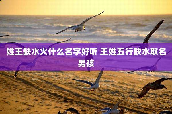 姓王缺水火什么名字好听 王姓五行缺水取名男孩