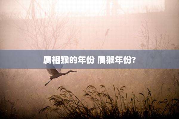 属相猴的年份 属猴年份?