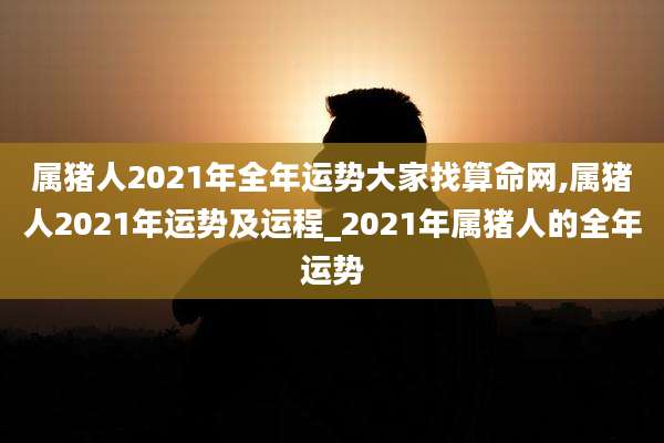 属猪人2021年全年运势大家找算命网,属猪人2021年运势及运程_2021年属猪人的全年运势