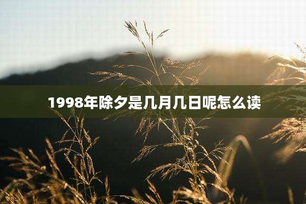 1998年除夕是几月几日呢怎么读