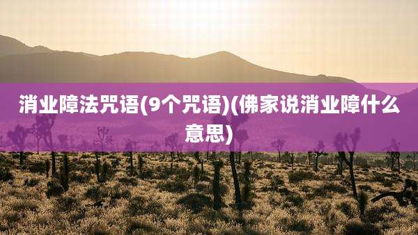 消业障法咒语(9个咒语)(佛家说消业障什么意思)