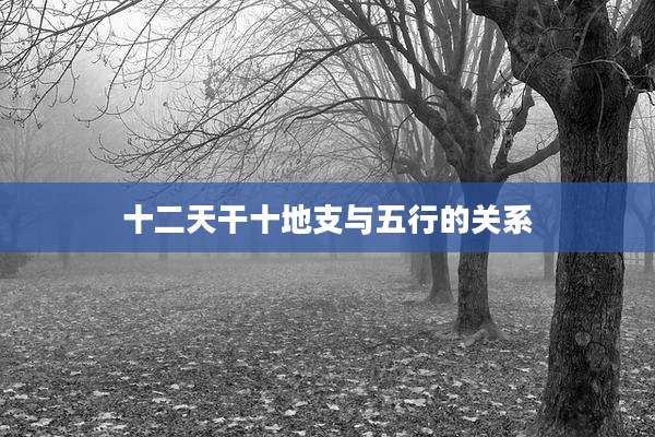 十二天干十地支与五行的关系