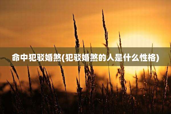 命中犯驳婚煞(犯驳婚煞的人是什么性格)