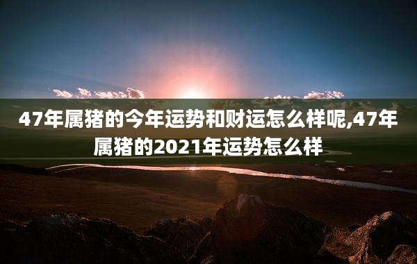 47年属猪的今年运势和财运怎么样呢,47年属猪的2021年运势怎么样