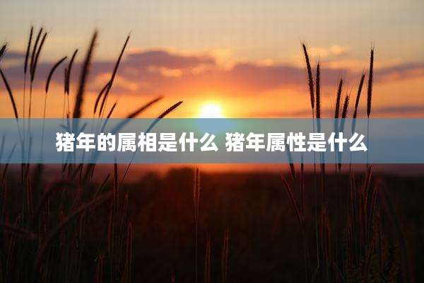 猪年的属相是什么 猪年属性是什么