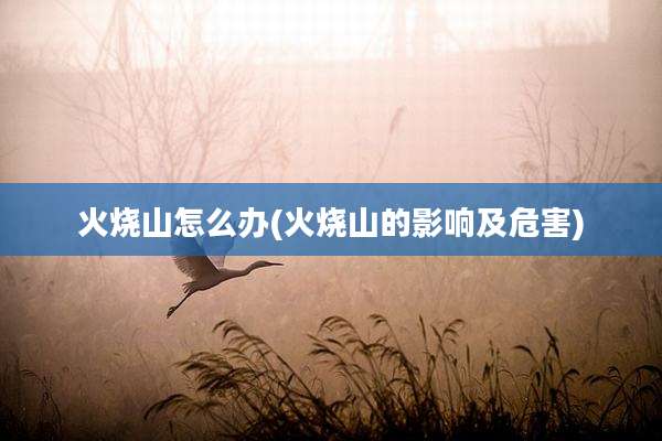 火烧山怎么办(火烧山的影响及危害)