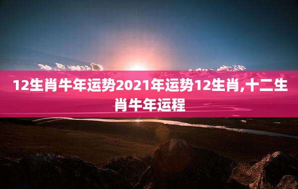 12生肖牛年运势2021年运势12生肖,十二生肖牛年运程
