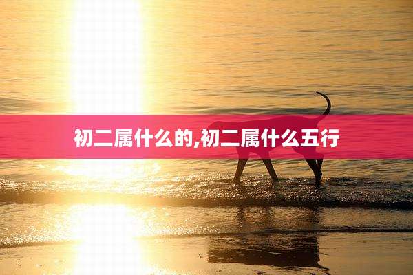 初二属什么的,初二属什么五行