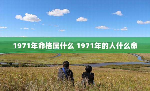 1971年命格属什么 1971年的人什么命
