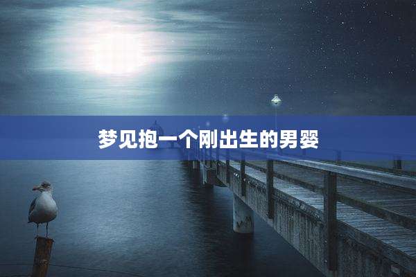 梦见抱一个刚出生的男婴