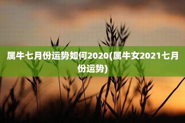 属牛七月份运势如何2020(属牛女2021七月份运势)
