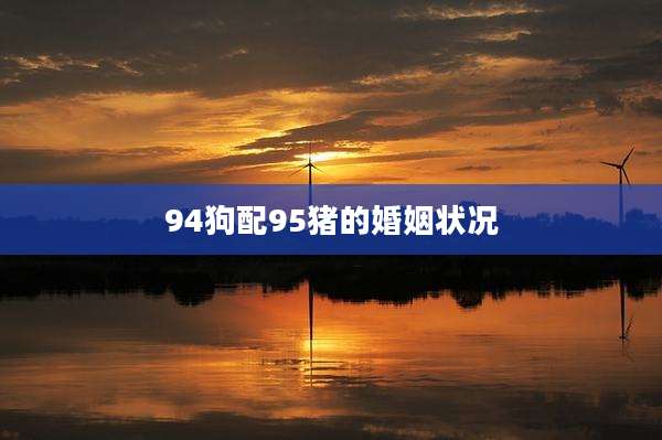 94狗配95猪的婚姻状况