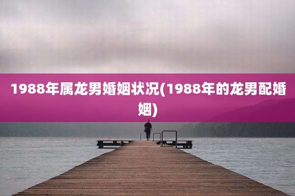 1988年属龙男婚姻状况(1988年的龙男配婚姻)