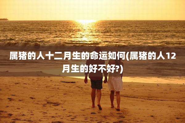 属猪的人十二月生的命运如何(属猪的人12月生的好不好?)