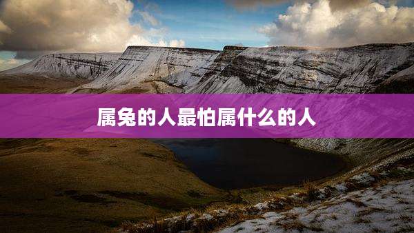 属兔的人最怕属什么的人
