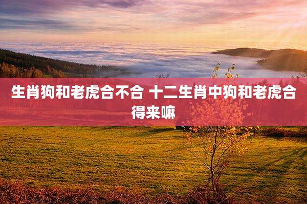 生肖狗和老虎合不合 十二生肖中狗和老虎合得来嘛