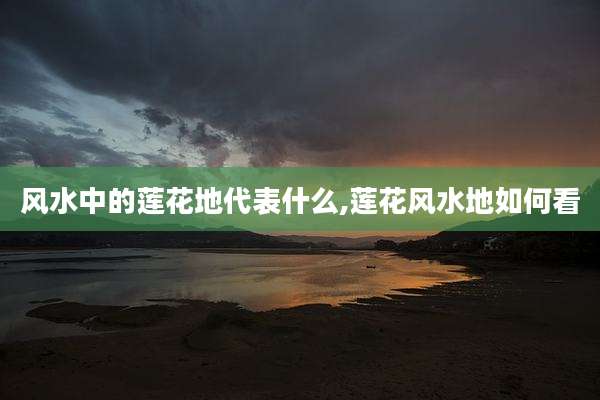 风水中的莲花地代表什么,莲花风水地如何看