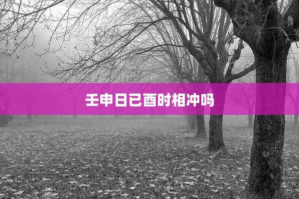 壬申日已酉时相冲吗