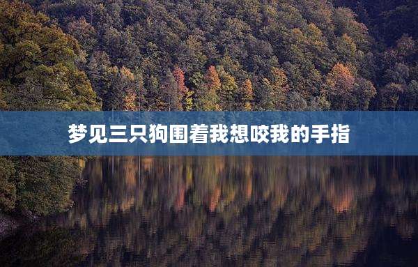 梦见三只狗围着我想咬我的手指
