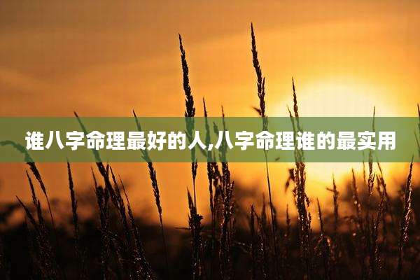 谁八字命理最好的人,八字命理谁的最实用