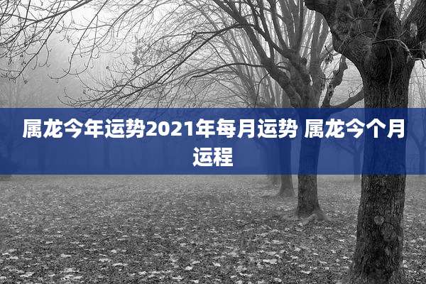 属龙今年运势2021年每月运势 属龙今个月运程