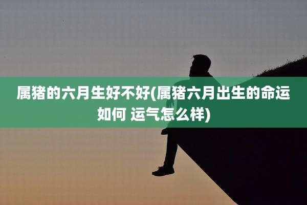 属猪的六月生好不好(属猪六月出生的命运如何 运气怎么样)
