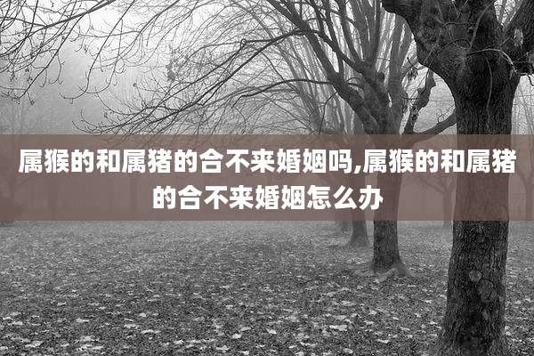 属猴的和属猪的合不来婚姻吗,属猴的和属猪的合不来婚姻怎么办