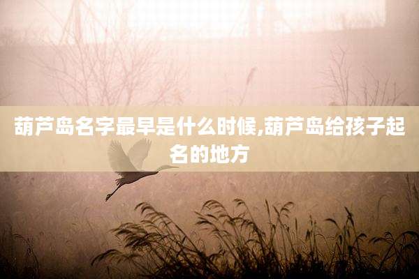 葫芦岛名字最早是什么时候,葫芦岛给孩子起名的地方