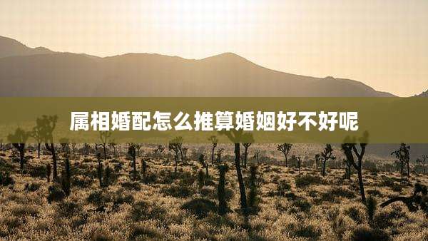属相婚配怎么推算婚姻好不好呢