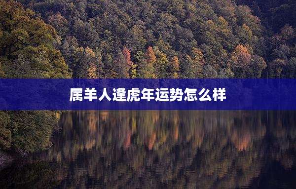 属羊人逢虎年运势怎么样