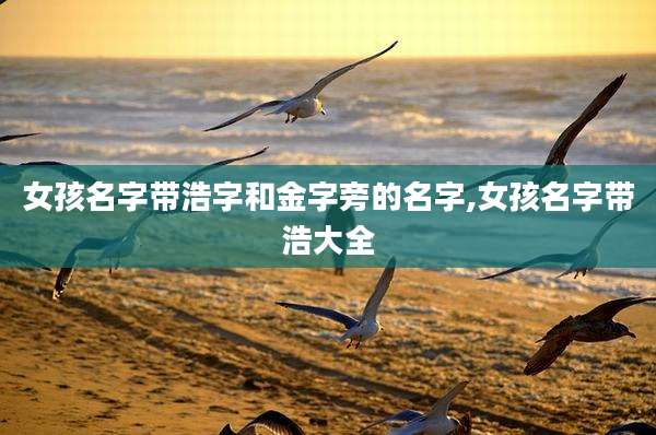 女孩名字带浩字和金字旁的名字,女孩名字带浩大全