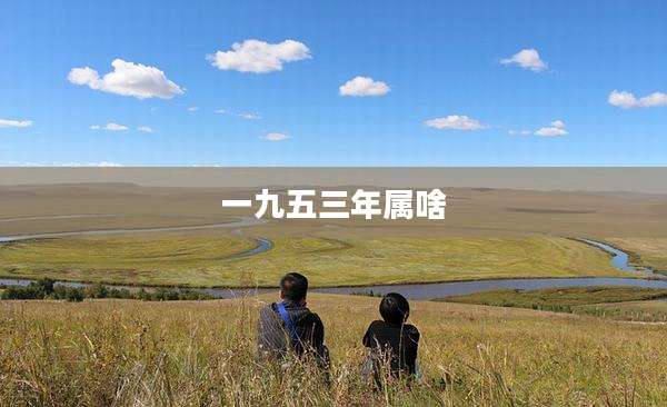 一九五三年属啥