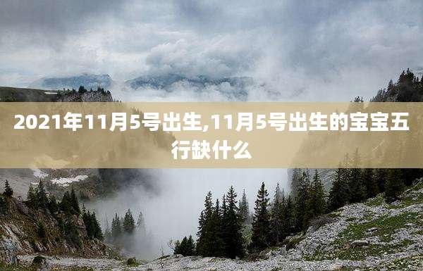 2021年11月5号出生,11月5号出生的宝宝五行缺什么