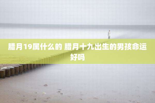 腊月19属什么的 腊月十九出生的男孩命运好吗