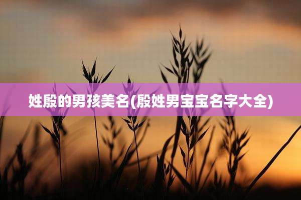 姓殷的男孩美名(殷姓男宝宝名字大全)