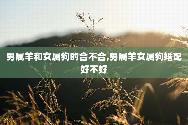男属羊和女属狗的合不合,男属羊女属狗婚配好不好