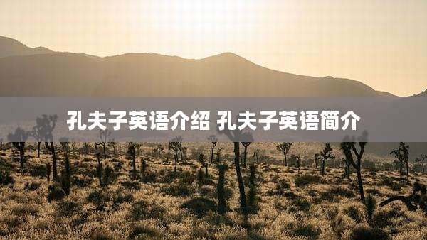 孔夫子英语介绍 孔夫子英语简介