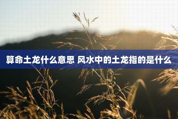 算命土龙什么意思 风水中的土龙指的是什么