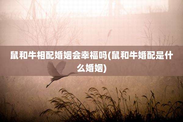 鼠和牛相配婚姻会幸福吗(鼠和牛婚配是什么婚姻)