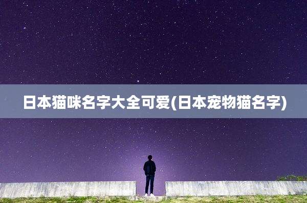 日本猫咪名字大全可爱(日本宠物猫名字)